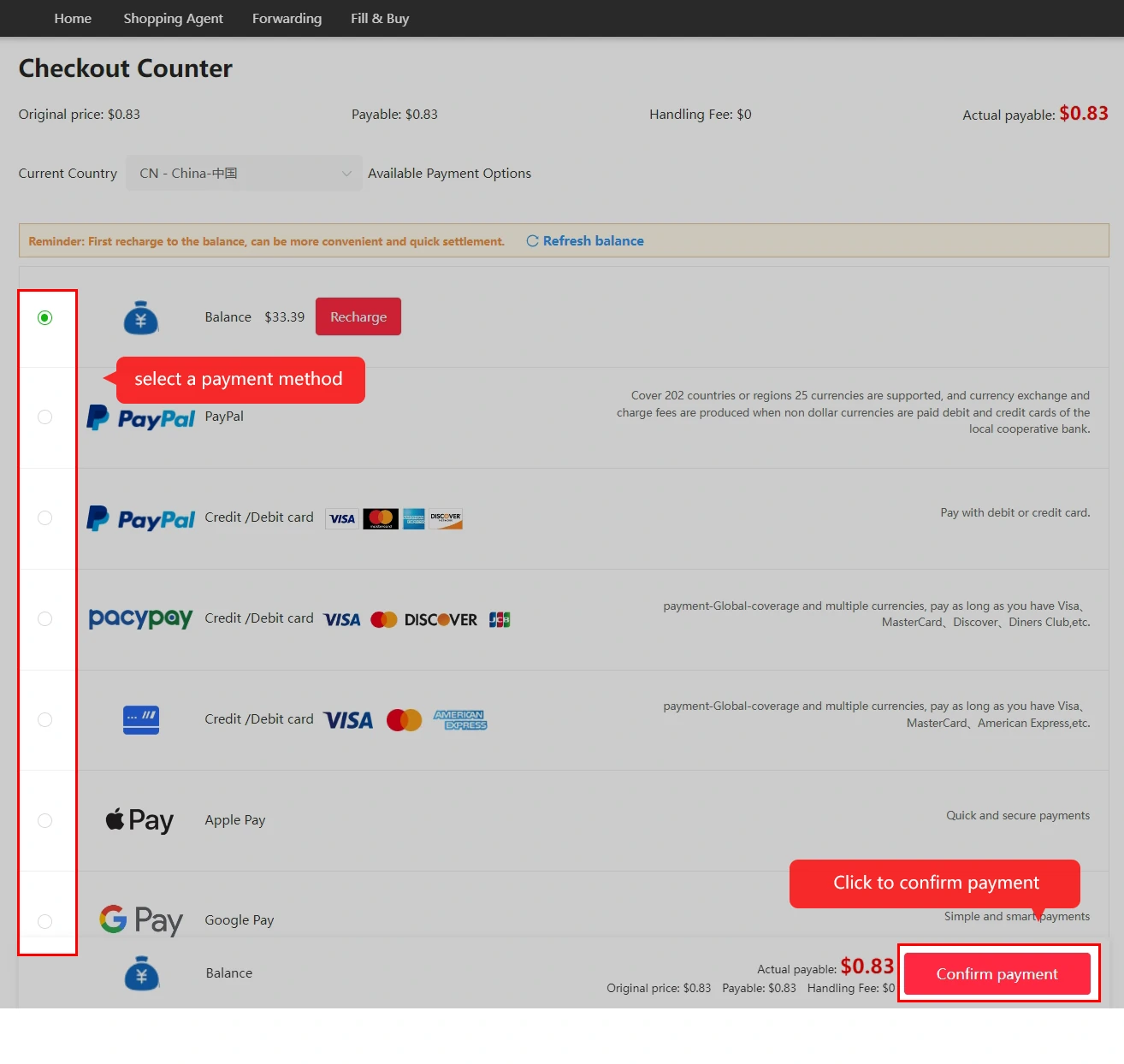 Checkout showing payment choices and the confirm-payment control.